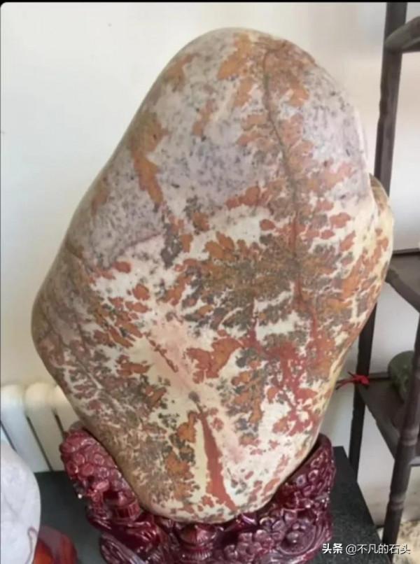 好石難求都視為珍寶 好石難求都視為珍寶