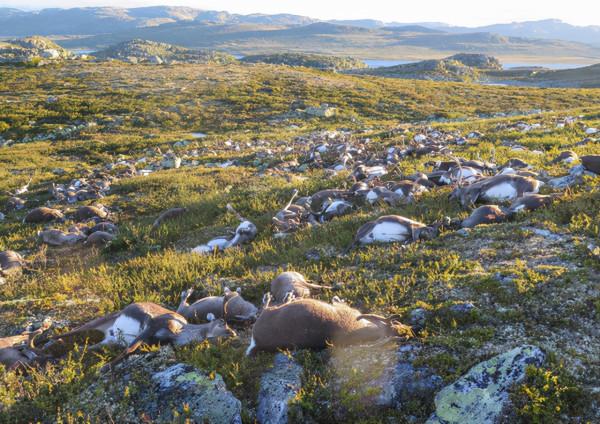 俄羅斯警告！全球變暖或致永凍層古老病毒“復活”，人類要當心了
