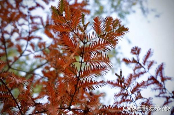 城市漫步——奧森公園 城市漫步——奧森公園