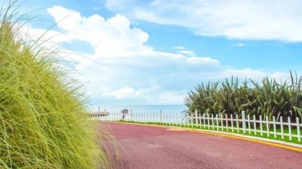 為祖國抗擊疫情加油時，來欣賞一下美景，看倒數第三張是什麼美味