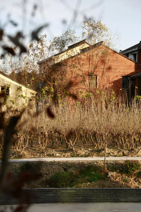 聯莊村：一個＂整＂出來的野趣盎然江南水鄉