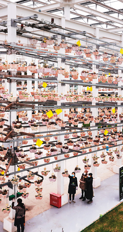 智慧農業科技範十足