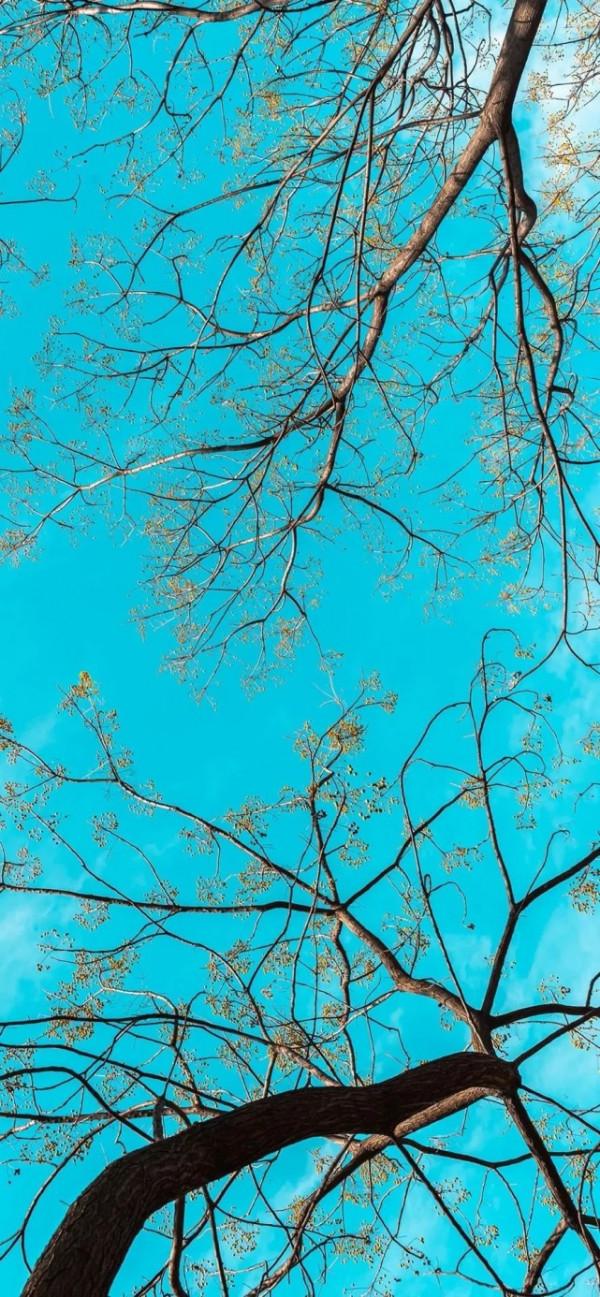 那些很準的心理學名言 那些很準的心理學名言