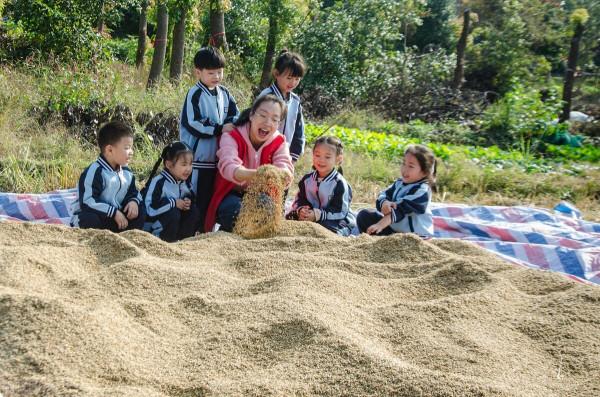 浙江長興：田間拾稻穗勞動知節儉