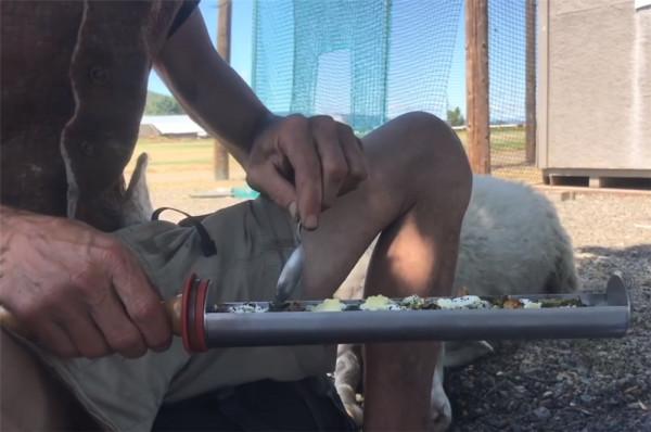 他住在2㎡破舊三輪車中，養4只羊為伴，邊牧羊邊流浪轉眼已過12年