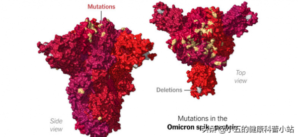 恐怖的奧密克戎病毒是怎麼誕生的?為何能殃及全球?一文解答 恐怖的奧密克戎病毒是怎麼誕生的?為何能殃及全球?一文解答