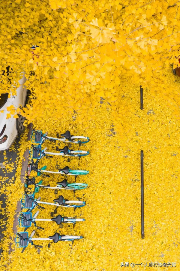 李子柒“隱居”地公開，這座比成都還安逸的城市，究竟是什麼地方