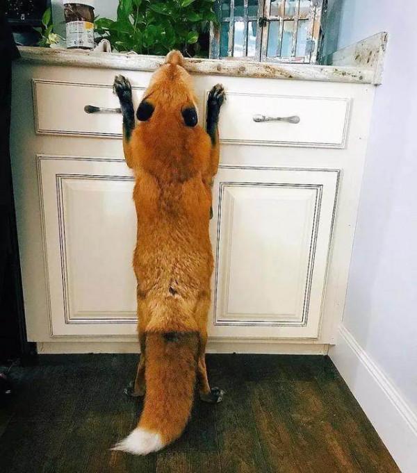 媽媽的味道?媽媽的口味 媽媽的味道?媽媽的口味