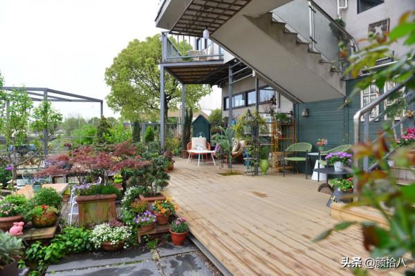 綠色背景牆的角落，聞著番木瓜花的香味賞月啦 | 園丁