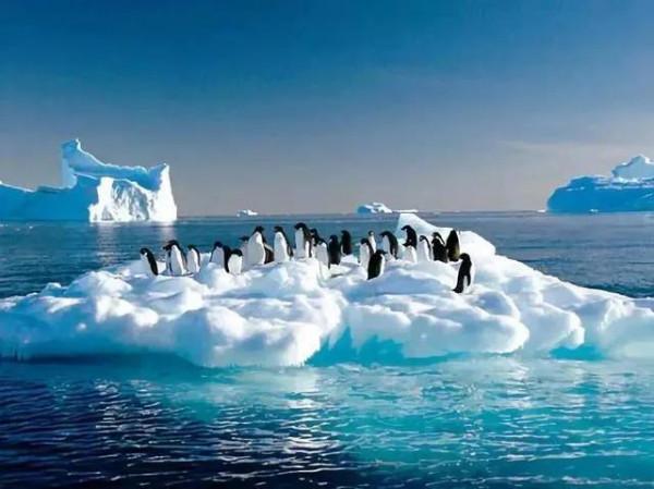 北極凍土融化，古老病菌復活多可怕？科學家：還有比這更可怕的