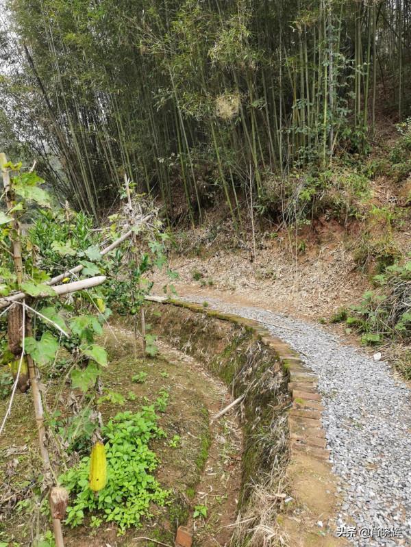 飛天山徒步，竟誤入桃源深處