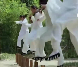 武當輕功的訓練方法之一——跳沙坑的現代運動力學分析