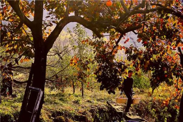 遠山溪流、古色建築、天然山貨……裡口山美得讓人心動