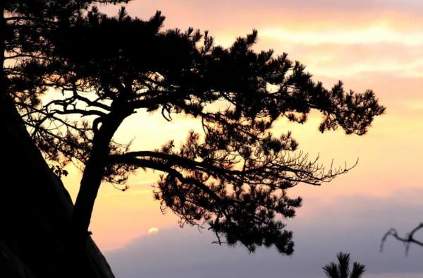 一篇文章，帶您領略四時美景 | 龜峰山最詳細旅遊景點，不容錯過