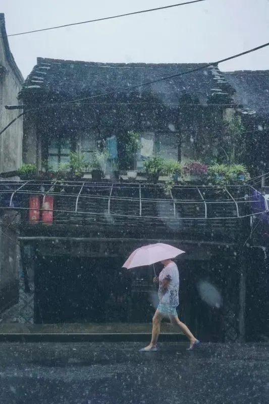 關於螃蟹、桂花、睡衣和小籠包的五十種解釋 關於螃蟹、桂花、睡衣和小籠包的五十種解釋