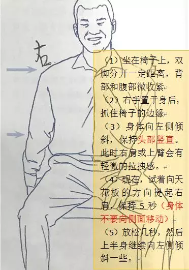 今天講一講肩胛提肌