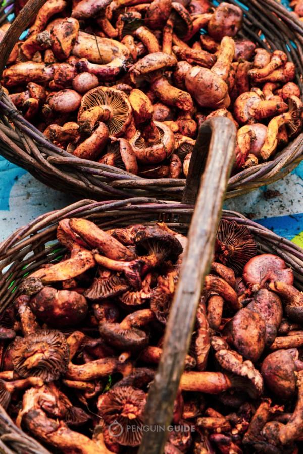 全國秋天神仙菜市場大賞 全國秋天神仙菜市場大賞