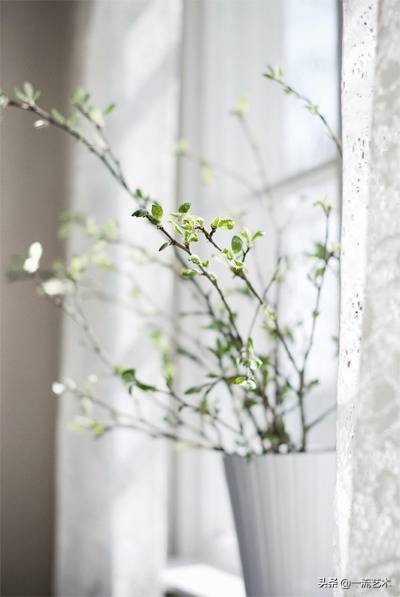 一枝插花,驚豔一家 一枝插花,驚豔一家