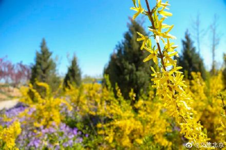 好訊息！朝陽區兩處公園將於“十一”開放
