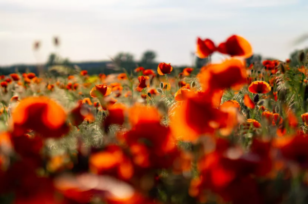 人到中年:顧好家,教好娃,養好身 人到中年:顧好家,教好娃,養好身