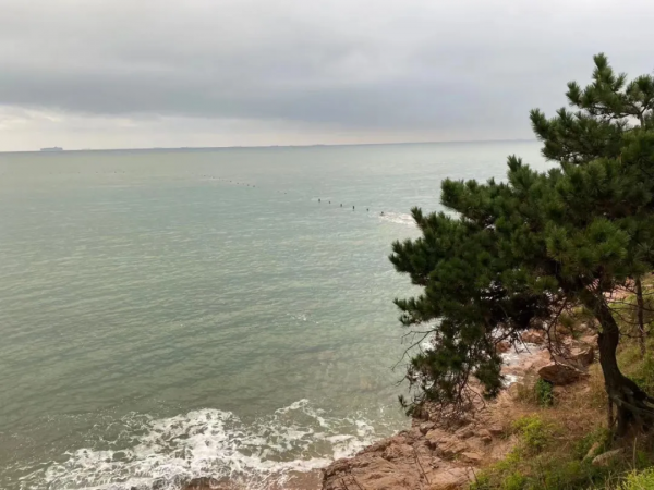 關於論據，你應該知道的那些事