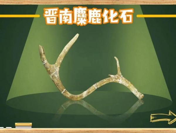 舊石器時代迷蹤：黃河中游 人類初現