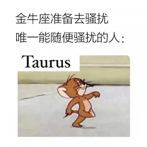 （星梗）星座meme合集12.3-12.10