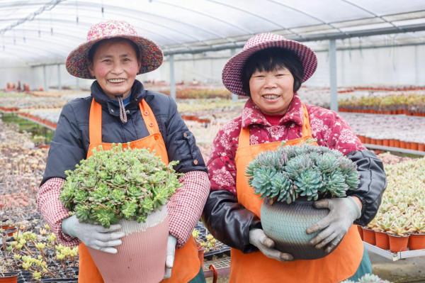 新華全媒+|從“三個快於”看浙江農民增收