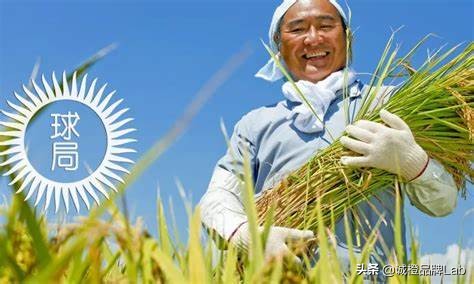 日本的鄉村振興借鑑:發揮日本農協的“平臺經濟”效應 日本的鄉村振興借鑑:發揮日本農協的“平臺經濟”效應