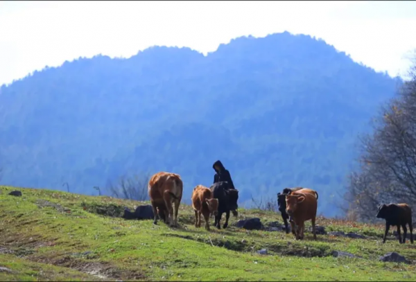 在霜打風吹之前，趕赴一場油畫般的美景盛宴