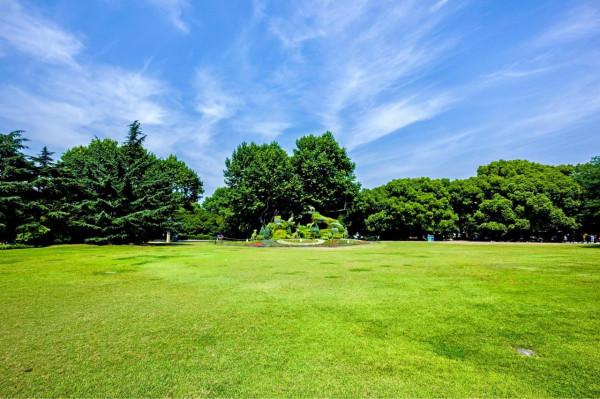 改變你的高層圈子以獲得財富和成功