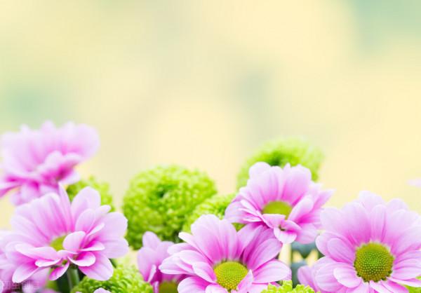 成語“十惡不赦”中的十惡,到底是哪“十惡”?為什麼不能赦免? 成語“十惡不赦”中的十惡,到底是哪“十惡”?為什麼不能赦免?