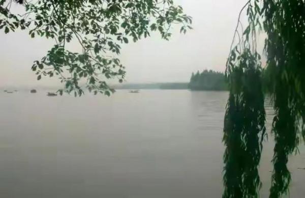 欲彰其能，愈顯其拙&mdash;&mdash;評瀚海封狼之&OpenCurlyDoubleQuote;毒舌點評&rdquo;