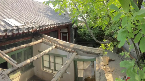北大女博士成直男迷妹，租下北京二環四合院，打造出最綠的房子