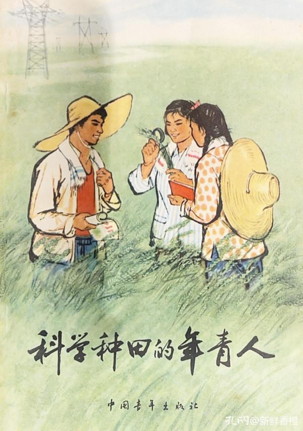 舊書封面美，而今多不同