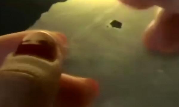 塑膠製品的“天敵”，科學家發現特殊生物，或能逆轉白色汙染