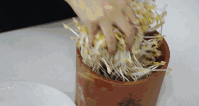 被網紅“過度吹捧”的6件家居用品,其實並不實用,花錢買教訓 被網紅“過度吹捧”的6件家居用品,其實並不實用,花錢買教訓