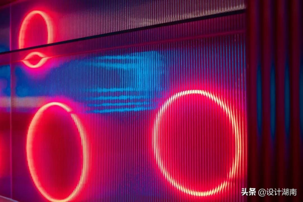 作品欣賞｜叢林得餘：小仙女們的龍蝦美食夜店