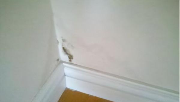 為什麼會出現牆面滲水的現象呢?牆面滲水應該怎麼辦才好? 為什麼會出現牆面滲水的現象呢?牆面滲水應該怎麼辦才好?