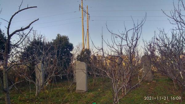 再訪漢文帝霸陵