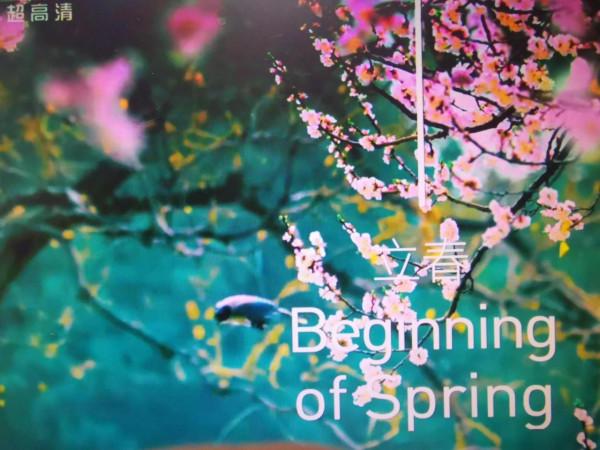 2022北京冬奧會開幕式上的美麗精靈