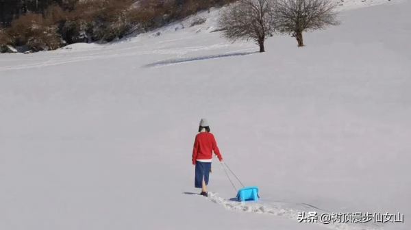 冬遊川渝，被冬季的仙女山驚豔了