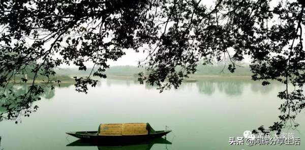 尋找英雄｜黃紹竑在浙江創辦兵工廠造槍造炮支援抗日