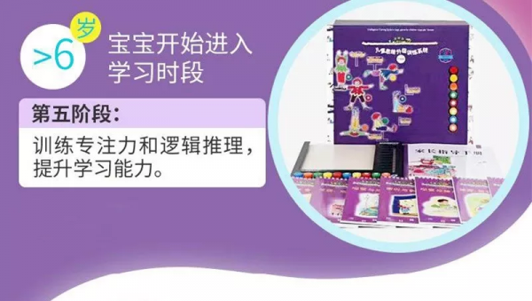 風靡全球的邏輯狗,3-9歲,全套五階段,孩子邊玩遊戲,邊學知識 風靡全球的邏輯狗,3-9歲,全套五階段,孩子邊玩遊戲,邊學知識