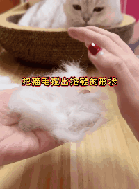 天冷了，哪個小貓咪不想來一雙純手工&OpenCurlyDoubleQuote;毛拖鞋&rdquo;呢