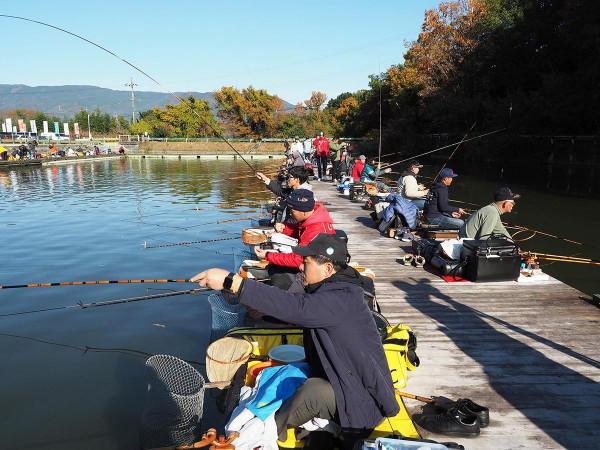 幾千元的並繼竿真是智商稅嗎？為什麼用過的人就會愛上它？