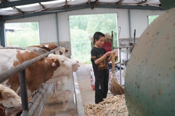 男孩爸爸病逝後被媽媽拋棄，姑媽拖著病體不顧反對將“孤兒”養大