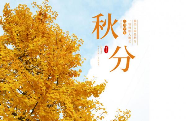 明日秋分,這7種秋日食材記得吃,鮮嫩營養,應季而食,安穩過秋 明日秋分,這7種秋日食材記得吃,鮮嫩營養,應季而食,安穩過秋