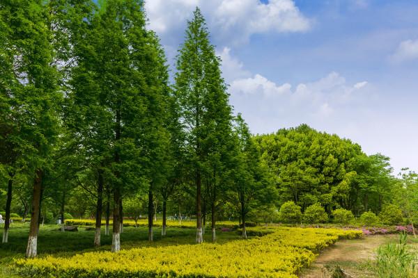 撿來的哥少年老成,妹卻因哥與父母住在一起而選擇與丈夫離婚 撿來的哥少年老成,妹卻因哥與父母住在一起而選擇與丈夫離婚