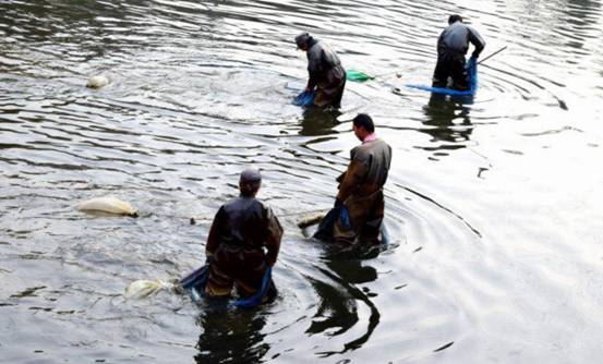 一斤能賣200元!多人靠紅蟲“暴富”,為何國家要斷他們的財路? 一斤能賣200元!多人靠紅蟲“暴富”,為何國家要斷他們的財路?